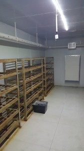 实验室展示